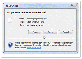 screenshot showing File Download dialog after selecting [View Attachment]