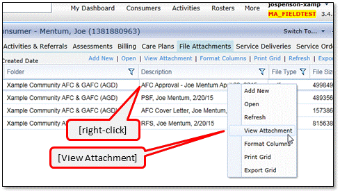 screenshot showing Cconsumer's list of File Attaachments in SAMS