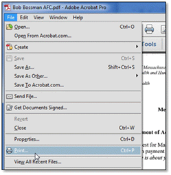 screenshot showing print dialog in Acrobat Reader